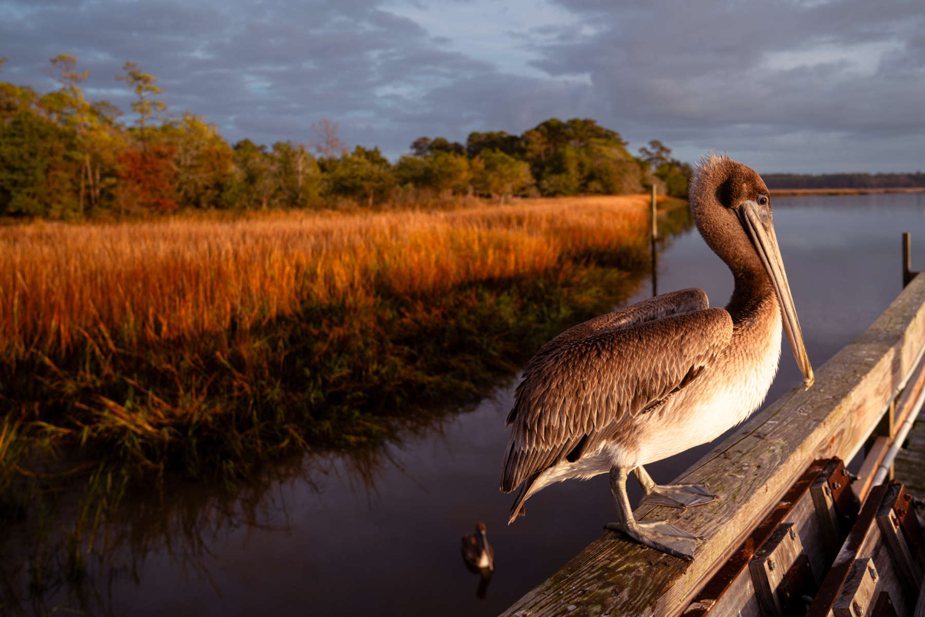 Calabash, North Carolina Home Listings